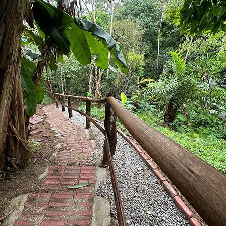Vila Dos Passaros,Quarto 05 ايتابيما المظهر الخارجي الصورة